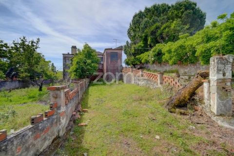 Farm i Azambuja, Lisbon, Azambuja - € 490.000 | Ref: ZMPT577536 - foto 15