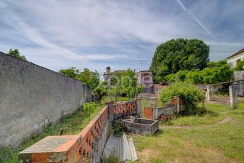 Farm i Azambuja, Lisbon, Azambuja - € 490.000 | Ref: ZMPT577536 - foto 16