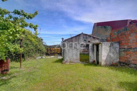 Farm i Azambuja, Lisbon, Azambuja - € 490.000 | Ref: ZMPT577536 - foto 17
