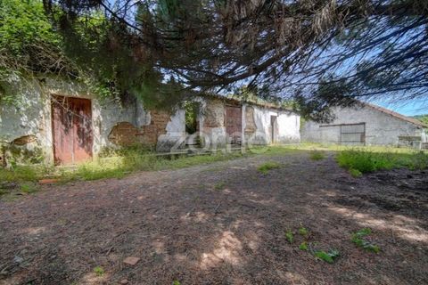 Farm i Azambuja, Lisbon, Azambuja - € 490.000 | Ref: ZMPT577536 - foto 18