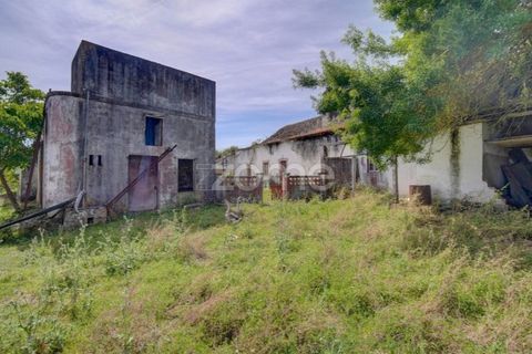 Farm i Azambuja, Lisbon, Azambuja - € 490.000 | Ref: ZMPT577536 - foto 21