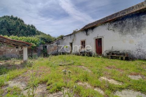 Farm i Azambuja, Lisbon, Azambuja - € 490.000 | Ref: ZMPT577536 - foto 20