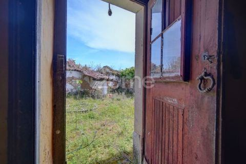 Farm i Azambuja, Lisbon, Azambuja - € 490.000 | Ref: ZMPT577536 - foto 23