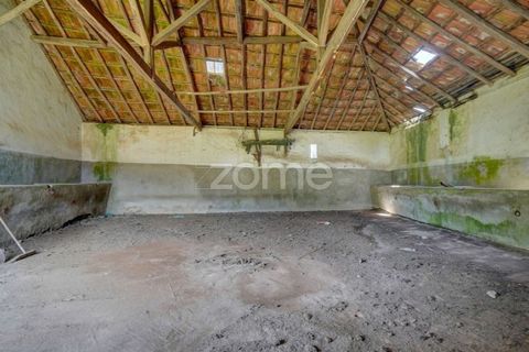 Farm i Azambuja, Lisbon, Azambuja - € 490.000 | Ref: ZMPT577536 - foto 25