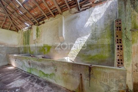 Farm i Azambuja, Lisbon, Azambuja - € 490.000 | Ref: ZMPT577536 - foto 26