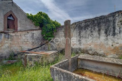 Farm i Azambuja, Lisbon, Azambuja - € 490.000 | Ref: ZMPT577536 - foto 28