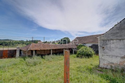 Farm i Azambuja, Lisbon, Azambuja - € 490.000 | Ref: ZMPT577536 - foto 29