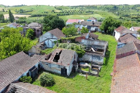 Farm i Azambuja, Lisbon, Azambuja - € 490.000 | Ref: ZMPT577536 - foto 35