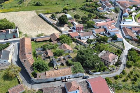 Farm i Azambuja, Lisbon, Azambuja - € 490.000 | Ref: ZMPT577536 - foto 38