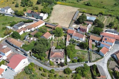 Farm i Azambuja, Lisbon, Azambuja - € 490.000 | Ref: ZMPT577536 - foto 39