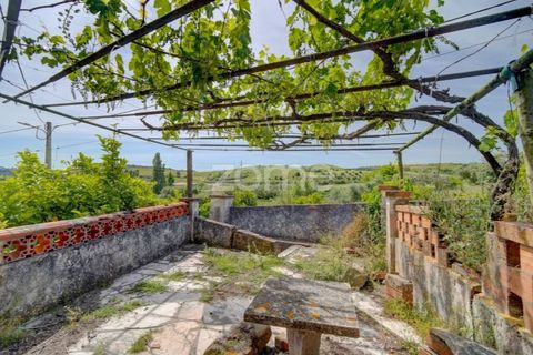 Farm i Azambuja, Lisbon, Azambuja - € 490.000 | Ref: ZMPT577536 - foto 5