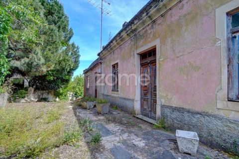 Farm i Azambuja, Lisbon, Azambuja - € 490.000 | Ref: ZMPT577536 - foto 6