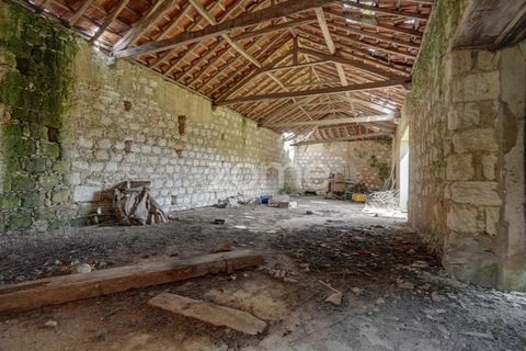 Farm i Azambuja, Lisbon, Azambuja - € 490.000 | Ref: ZMPT577536 - foto 22