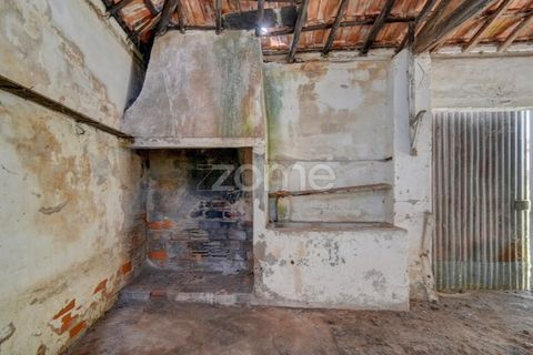 Farm i Azambuja, Lisbon, Azambuja - € 490.000 | Ref: ZMPT577536 - foto 27
