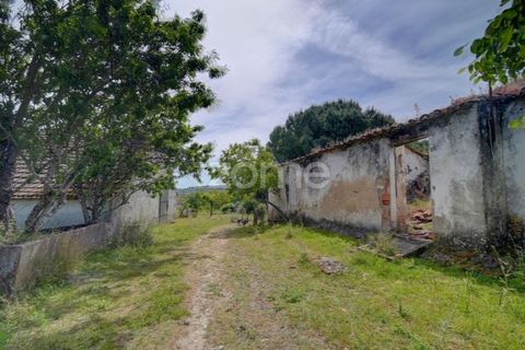 Farm i Azambuja, Lisbon, Azambuja - € 490.000 | Ref: ZMPT577536 - foto 19