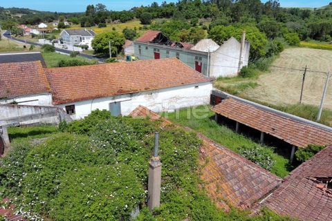 Farm i Azambuja, Lisbon, Azambuja - € 490.000 | Ref: ZMPT577536 - foto 31
