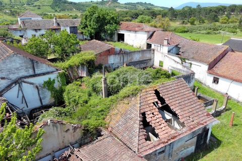 Farm i Azambuja, Lisbon, Azambuja - € 490.000 | Ref: ZMPT577536 - foto 33