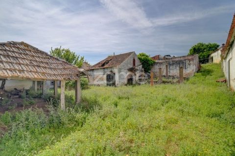 Farm i Azambuja, Lisbon, Azambuja - € 490.000 | Ref: ZMPT577536 - foto 36