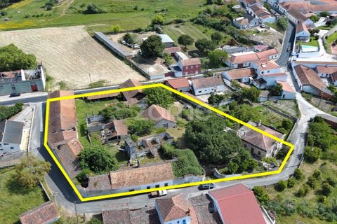 Farm i Azambuja, Lisbon, Azambuja - € 490.000 | Ref: ZMPT577536 - foto 1