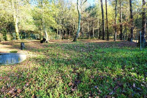 Villa i Ganfei, Viana do Castelo, Ganfei - € 330.000 | Ref: 3775 - foto 23