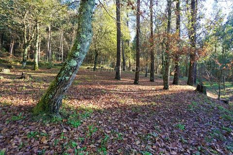 Villa i Ganfei, Viana do Castelo, Ganfei - € 330.000 | Ref: 3775 - foto 24