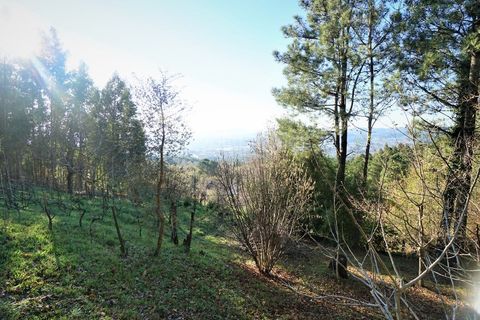 Villa i Ganfei, Viana do Castelo, Ganfei - € 330.000 | Ref: 3775 - foto 25