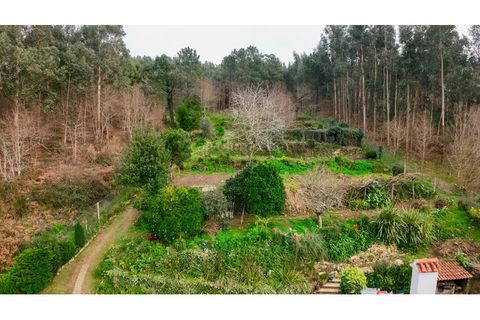 Villa i Ganfei, Viana do Castelo, Ganfei - € 330.000 | Ref: 3775 - foto 26