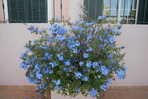 Villa i Estombar, Faro, Estombar - € 1.600.000 | Ref: KWPT-018609 - foto 11