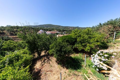 Villa i Monchique, Faro, Monchique - € 330.000 | Ref: KWPT-018865 - foto 8