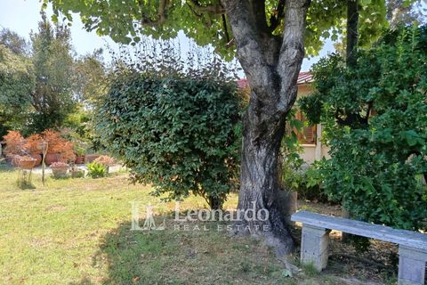 Villa i Pietrasanta, Lucca, Pietrasanta - € 350.000 | Ref: P433 - foto 8