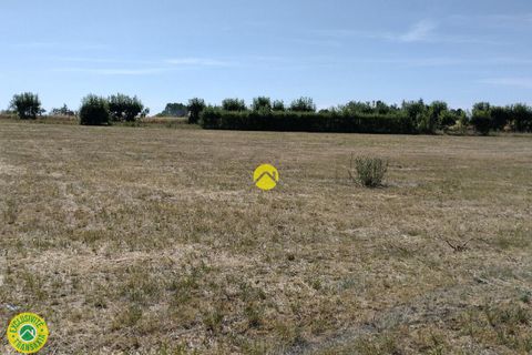 Terra a Vatan, Indre, Vatan - € 45.000 | Ref: 91CAL110005 - foto 2