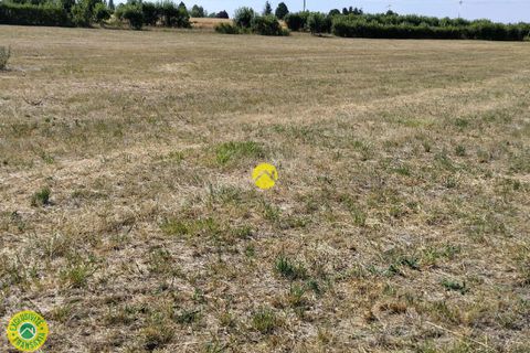Terra a Vatan, Indre, Vatan - € 45.000 | Ref: 91CAL110005 - foto 3