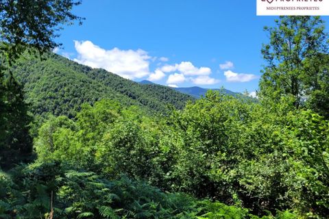 Villa a Massat, Ariege, Massat - € 160.000 | Ref: 3_DK123 - foto 20