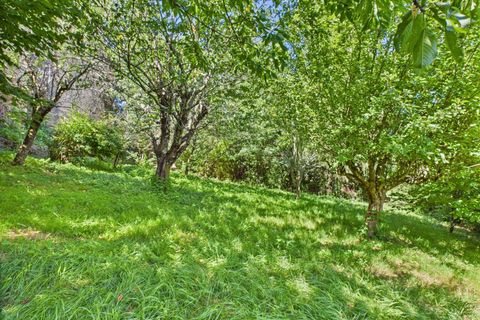 Landsbyhus i Rieupeyroux, Aveyron, Rieupeyroux - € 172.800 | Ref: BVI81283 - foto 3