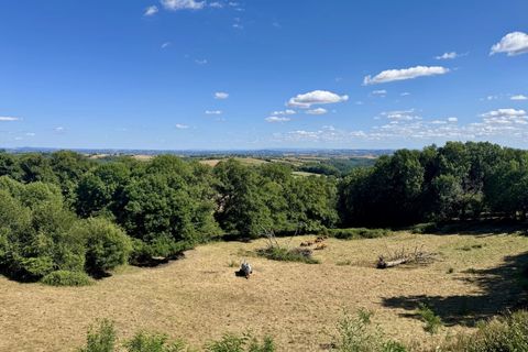 Landsbyhus i Rieupeyroux, Aveyron, Rieupeyroux - € 172.800 | Ref: BVI81283 - foto 14