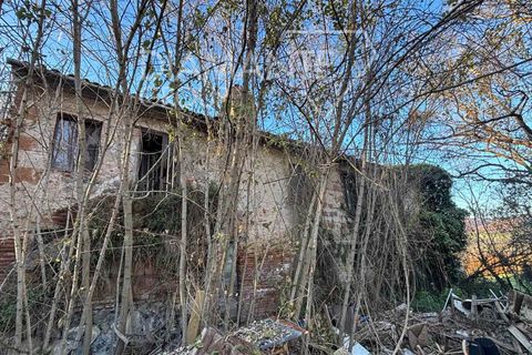 Farm i Acquapendente, Viterbo, Acquapendente - € 350.000 | Ref: AZ370 - foto 5