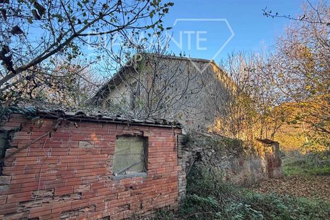 Farm i Acquapendente, Viterbo, Acquapendente - € 350.000 | Ref: AZ370 - foto 6