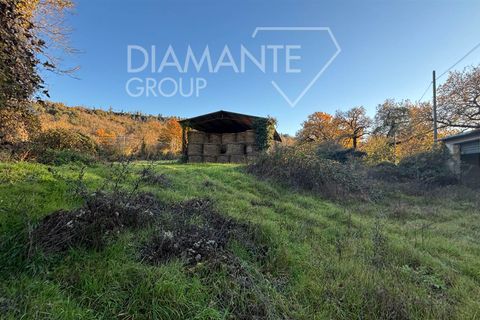 Farm i Acquapendente, Viterbo, Acquapendente - € 350.000 | Ref: AZ370 - foto 7