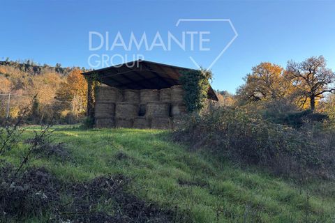 Farm i Acquapendente, Viterbo, Acquapendente - € 350.000 | Ref: AZ370 - foto 8