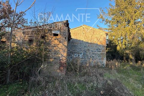 Farm i Acquapendente, Viterbo, Acquapendente - € 350.000 | Ref: AZ370 - foto 9