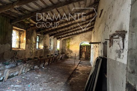 Farm i Acquapendente, Viterbo, Acquapendente - € 350.000 | Ref: AZ370 - foto 10