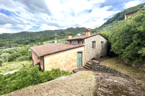 Landejendom i Lucca, Lucca, Lucca - € 590.000 | Ref: APS-606 - foto 3