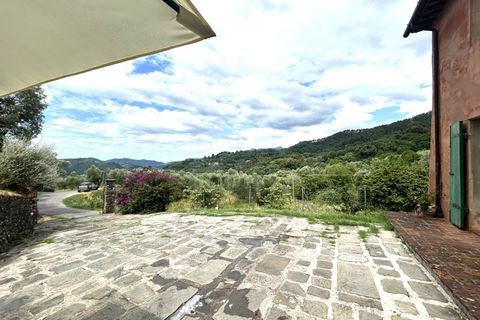 Landejendom i Lucca, Lucca, Lucca - € 590.000 | Ref: APS-606 - foto 5