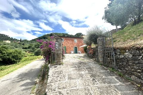 Landejendom i Lucca, Lucca, Lucca - € 590.000 | Ref: APS-606 - foto 20