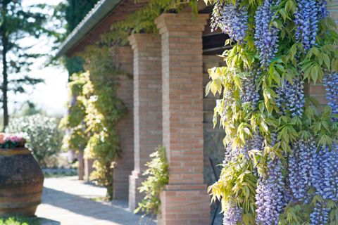 Farm hus i Peccioli, Pisa, Peccioli - € 1.550.000 | Ref: 1307-565977 - foto 13