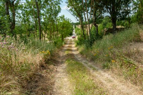 Villa i Lajatico, Pisa, Lajatico - € 550.000 | Ref: 1243-566036 - foto 5