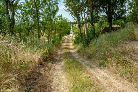 Villa i Lajatico, Pisa, Lajatico - € 550.000 | Ref: 1243-566036 - foto 8