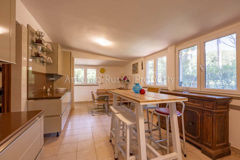 Villa i Punta Ala, Grosseto, Punta Ala - € 750.000 | Ref: D67-566588 - foto 9