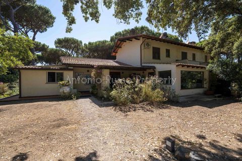Villa i Punta Ala, Grosseto, Punta Ala - € 750.000 | Ref: D67-566588 - foto 36
