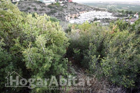 Terra a Chiva, Valencia, Chiva - € 39.900 | Ref: 040XSL-RTU40.O0-A/3716 - foto 8